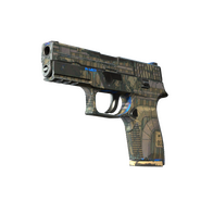 P250 | Exchanger (Field-Tested)