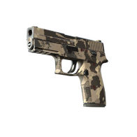 Souvenir P250 | Black & Tan (Field-Tested)