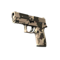 P250 | Black & Tan (Minimal Wear)