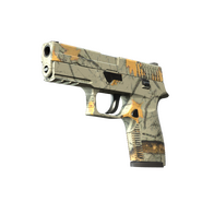 P250 | Modern Hunter (Factory New)