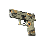 P250 | Modern Hunter (Well-Worn)