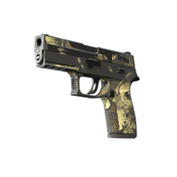 P250 | Contamination (Battle-Scarred)