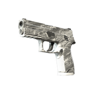 P250 | Sleet (Factory New)
