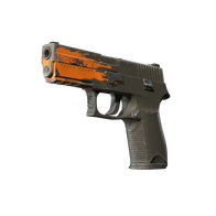 P250 | Splash (Field-Tested)
