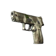 P250 | Bone Mask (Well-Worn)