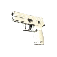 P250 | Whiteout (Well-Worn)