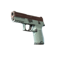 P250 | Copper Oxide (Well-Worn)