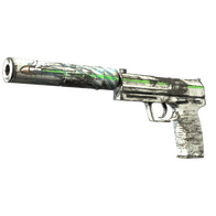 Souvenir USP-S | Road Rash (Well-Worn)