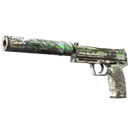 USP-S | Road Rash (Battle-Scarred)