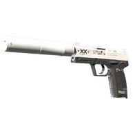 StatTrak™ USP-S | Printstream (Well-Worn)