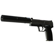 StatTrak™ USP-S | Stainless (Battle-Scarred)