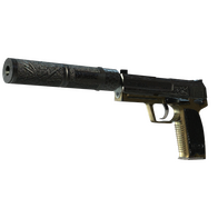 StatTrak™ USP-S | Lead Conduit (Battle-Scarred)