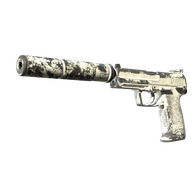 USP-S | Whiteout (Battle-Scarred)