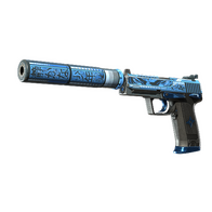 USP-S | Silent Shot (Field-Tested)