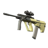 Souvenir AUG | Colony (Well-Worn)