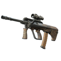 AUG | Spalted Wood (Field-Tested)