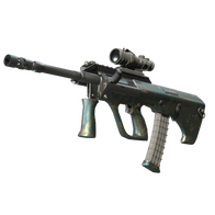 AUG | Surveillance (Factory New)