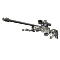 AWP | The End (Well-Worn)