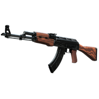 StatTrak™ AK-47 | Cartel (Factory New)