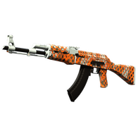 AK-47 | Safety Net (Factory New)