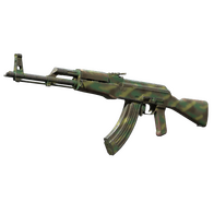 AK-47 | Jungle Spray (Well-Worn)