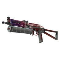 PP-Bizon | RMX (Field-Tested)