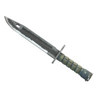 ★ Bayonet | Night (Battle-Scarred)