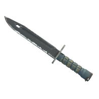 ★ Bayonet | Night (Field-Tested)