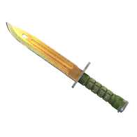 ★ Bayonet | Lore (Well-Worn)
