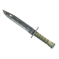 ★ Bayonet | Stained (Field-Tested)