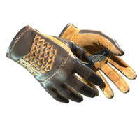 ★ Driver Gloves | Overtake (Field-Tested)