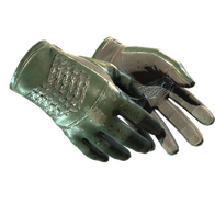 ★ Driver Gloves | Racing Green (Field-Tested)