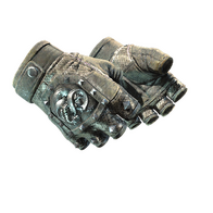 ★ Broken Fang Gloves | Unhinged (Battle-Scarred)
