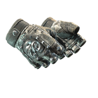 ★ Broken Fang Gloves | Unhinged (Field-Tested)