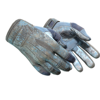 ★ Sport Gloves | Frosty (Battle-Scarred)