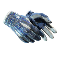 ★ Sport Gloves | Amphibious (Battle-Scarred)