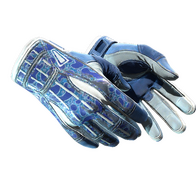 ★ Sport Gloves | Amphibious (Field-Tested)