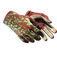 ★ Sport Gloves | Bronze Morph (Minimal Wear)