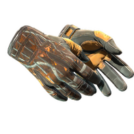 ★ Sport Gloves | Big Game (Field-Tested)