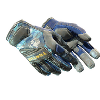 ★ Specialist Gloves | Mogul (Field-Tested)
