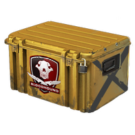 Falchion Case