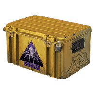 Shattered Web Case