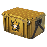 Winter Offensive Weapon Case