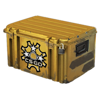 Revolver Case