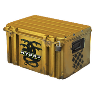 Operation Hydra Case