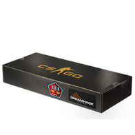 DreamHack 2014 Mirage Souvenir Package