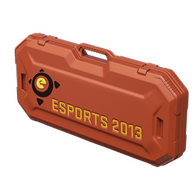 eSports 2013 Case