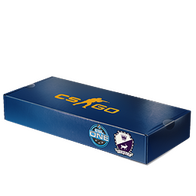 ESL One Cologne 2014 Cobblestone Souvenir Package