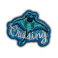 Patch | Cruising Ray
