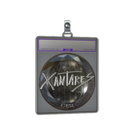 Sticker Slab | XANTARES (Foil) | Katowice 2019